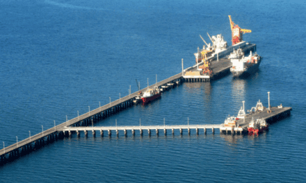 Puerto Madryn consolida su posición como nodo logístico estratégico del Atlántico Sur con más de 1.880 metros de frente de atraque