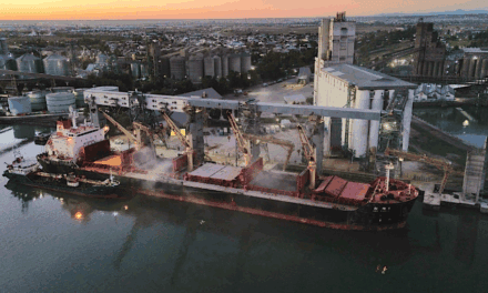 El Puerto de Bahía Blanca despacha medio millón de toneladas hacia los mercados que reconfiguran el comercio global de granos