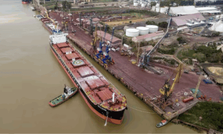 Puertos del norte bonaerense, entre fertilizantes y granos