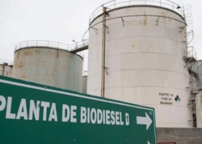 Idígoras: Argentina importa el biodiesel que podría producir