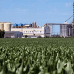 El nuevo marco regulatorio de biocombustibles busca potenciar las exportaciones del Up-River