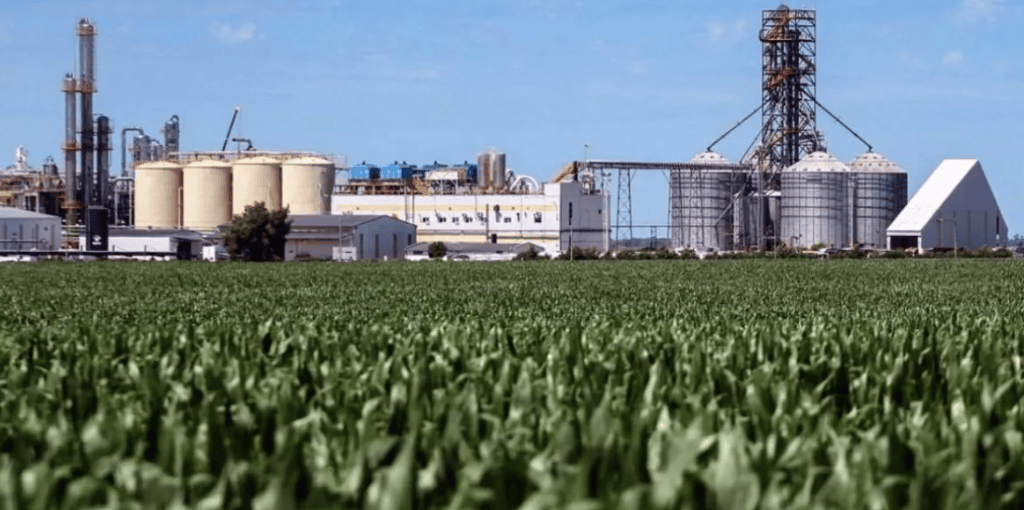 El nuevo marco regulatorio de biocombustibles busca potenciar las exportaciones del Up-River