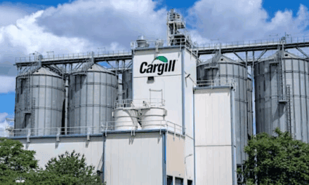 US$7 millones en rieles: la inversión de Cargill antes de la licitación del Belgrano Cargas
