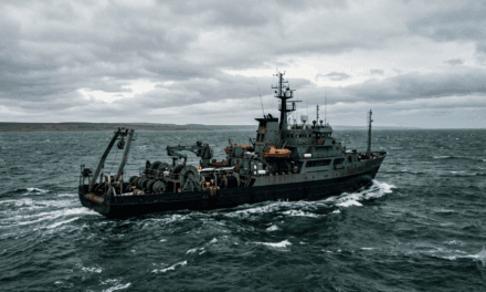 El Golfo San Matías, el laboratorio offshore donde se juega el futuro del GNL argentino