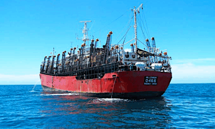 Argentina lanza convocatoria para 18 nuevos poteros: apuesta por capturar más calamar dentro de la ZEE antes de que migre
