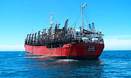 Argentina lanza convocatoria para 18 nuevos poteros: apuesta por capturar más calamar dentro de la ZEE antes de que migre