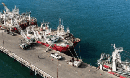 Santa Cruz licita la reconstrucción del Sitio 4 de puerto de Puerto Deseado con $12.821 millones