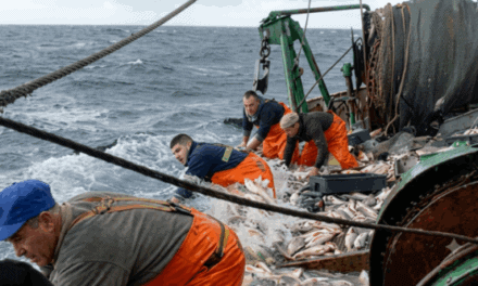 Prefectura refuerza el uso de chalecos salvavidas homologados SOLAS en buques pesqueros