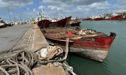 Puerto de Mar del Plata supera los 1.400 metros de muelles recuperados tras un nuevo operativo de desguace