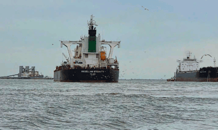 Prácticos de Bahía Blanca: la pieza clave de un sistema exportador que ya despacha tres buques en simultáneo desde Puerto Rosales