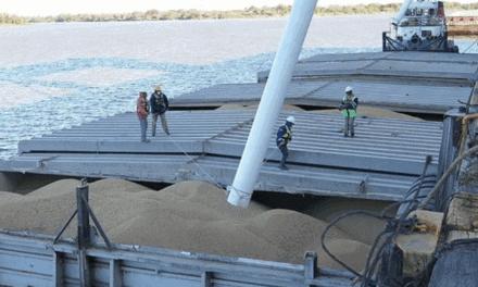 Puerto de Santa Fe: nuevo embarque de 8.000 toneladas de soja consolida su reactivación operativa