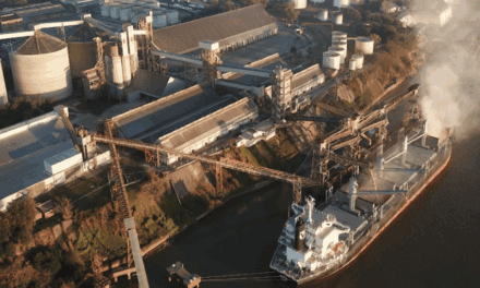 Buques anunciados para embarque: San Lorenzo y Bahía Blanca concentran 5,1 millones de toneladas