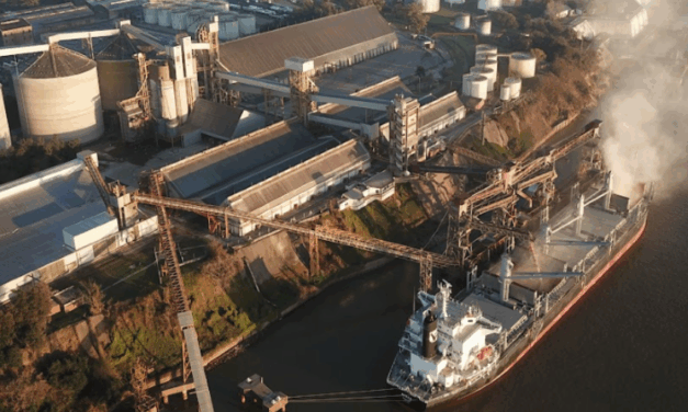 Buques anunciados para embarque: San Lorenzo y Bahía Blanca concentran 5,1 millones de toneladas