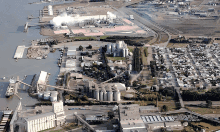 Bahía Blanca concentra el 43% de las exportaciones petroquímicas argentinas