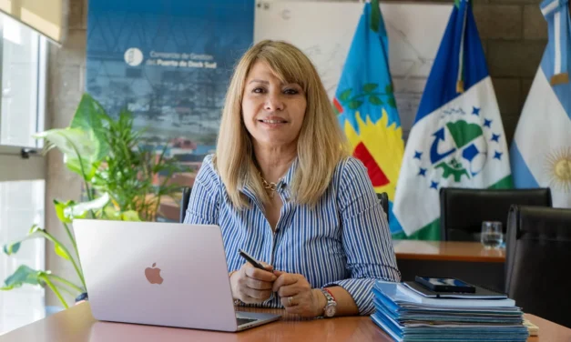 Mónica Litza: «Modernizar no es desregular sin límites»