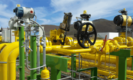 Gas de Vaca Muerta a Brasil: PPSA podría subastarlo desde 2027