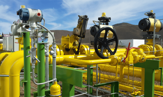 Gas de Vaca Muerta a Brasil: PPSA podría subastarlo desde 2027