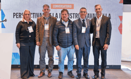 Industria naval argentina: ¿Quién construirá los barcos del río?