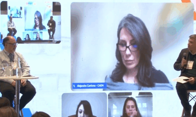 «La minería argentina se tiene que ir por el Atlántico»: TPR busca liderar la logística del cobre