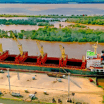 Puerto Concepción del Uruguay exporta madera a India y se prepara para embarcar harina de soja a Dinamarca