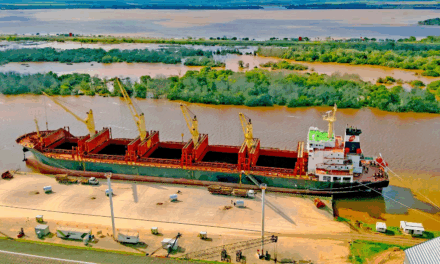 Puerto Concepción del Uruguay exporta madera a India y se prepara para embarcar harina de soja a Dinamarca