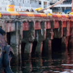 ANPyN investiga el abandono del muelle de catamaranes en Ushuaia