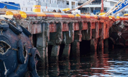 ANPyN investiga el abandono del muelle de catamaranes en Ushuaia