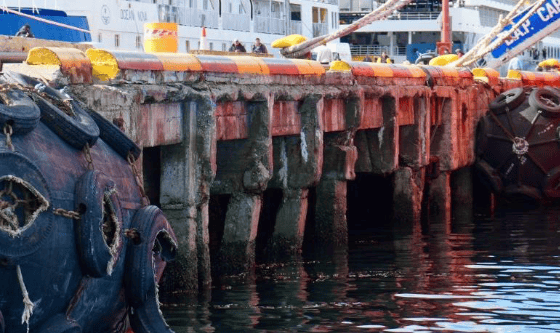 ANPyN investiga el abandono del muelle de catamaranes en Ushuaia