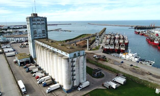 Puerto Mar del Plata licita la demolición de la galería de granos