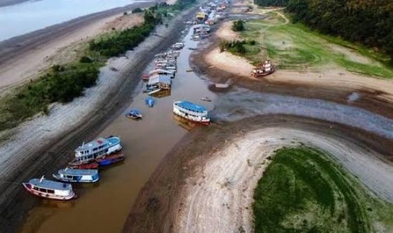 Recargos por bajante en el Amazonas: qué cobran las navieras a Manaos