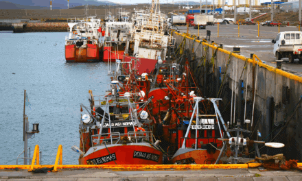 Pan American Energy le encargó a Prelast 96 defensas para tres muelles de Puerto Caleta Paula