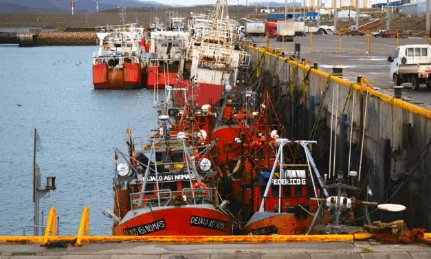 Pan American Energy le encargó a Prelast 96 defensas para tres muelles de Puerto Caleta Paula