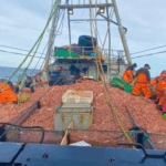 Puerto Madryn empuja a Chubut al primer lugar de los desembarques pesqueros del país