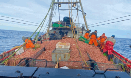 Puerto Madryn empuja a Chubut al primer lugar de los desembarques pesqueros del país