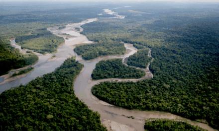 Recargos por bajante en el Amazonas: qué cobran las navieras a Manaos