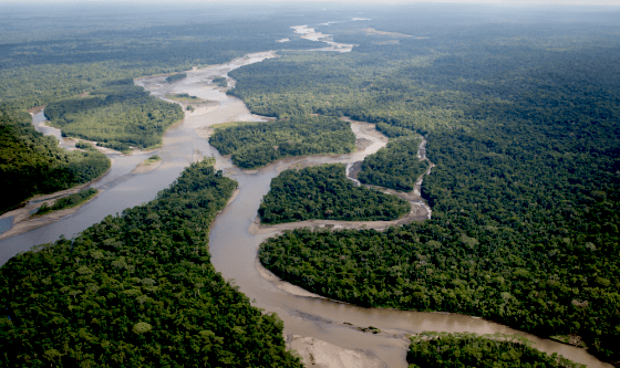 Recargos por bajante en el Amazonas: qué cobran las navieras a Manaos