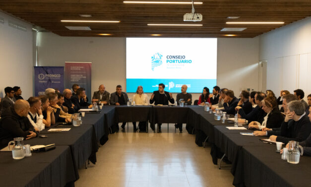 Cabotaje nacional: solo el 2% de los buques que operaron en puertos bonaerenses en 2025 tenía bandera argentina