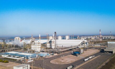 Ampliación de Profertil en Bahía Blanca: dos plantas de urea, dos muelles y un mismo canal