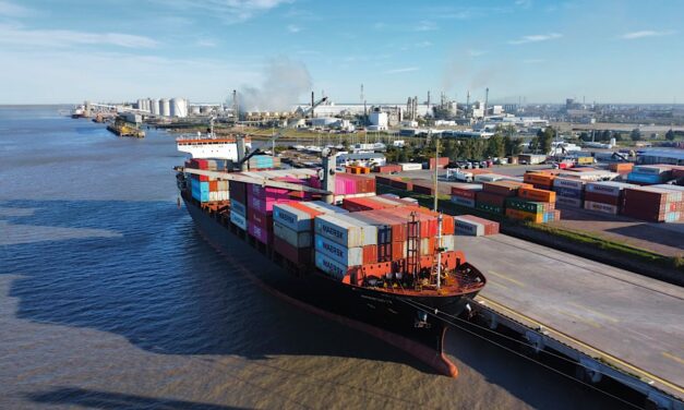 Obras en puertos argentinos: qué se licita, qué se construye y quién lo paga