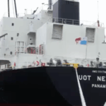 Muelle público de Dock Sud: dos buques, una sola operatoria