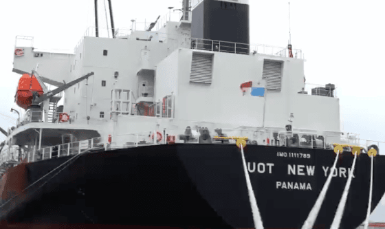 Muelle público de Dock Sud: dos buques, una sola operatoria